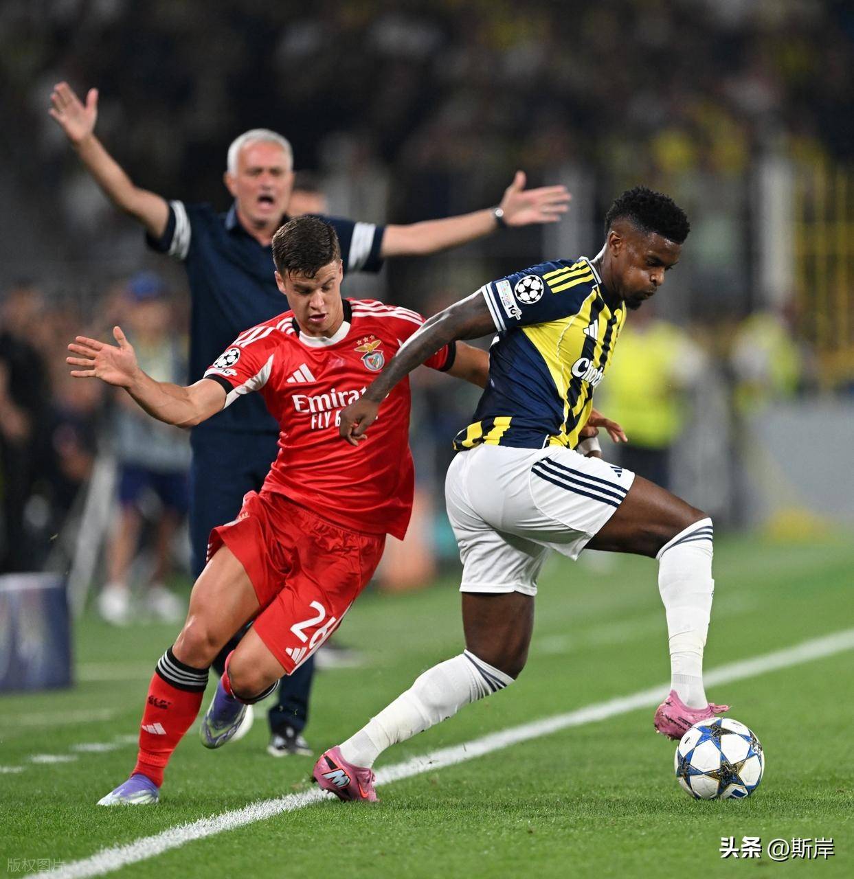 包含赛地聚焦：NBA季后赛清晨热度飙升；本菲卡队长鼓劲；信心回归；球队文化再被提及的词条